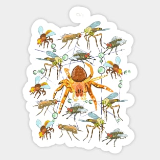 Web of flies and spider Sticker